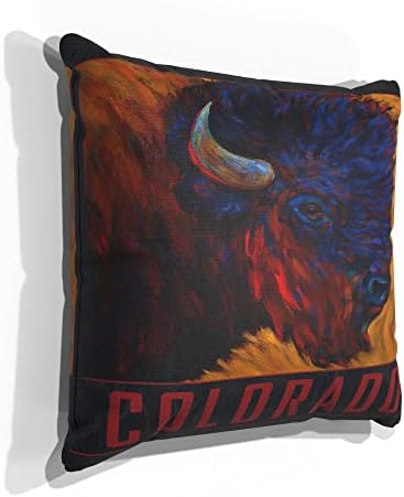 COLORADO LONE BULL BISON CANVAS זורק כרית לספה או לספה בבית ומשרד מציור שמן מאת האמן קארי לר 18 X 18.