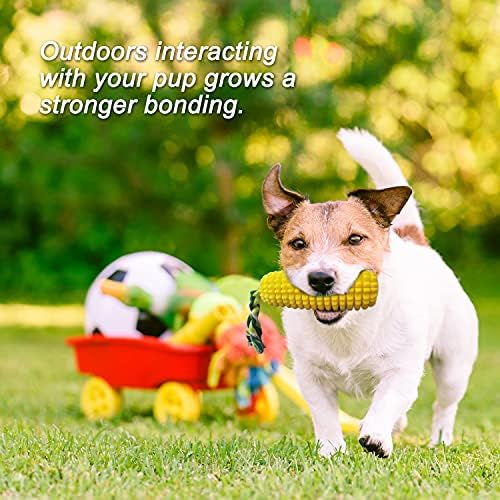 צעצועי כלבים חוץ -אונגרסיים לעיסות אגרסיביות, צעצועי לעיסה של כלבים אינטראקטיביים לגזע בינוני קטן, צעצוע כלב עמיד