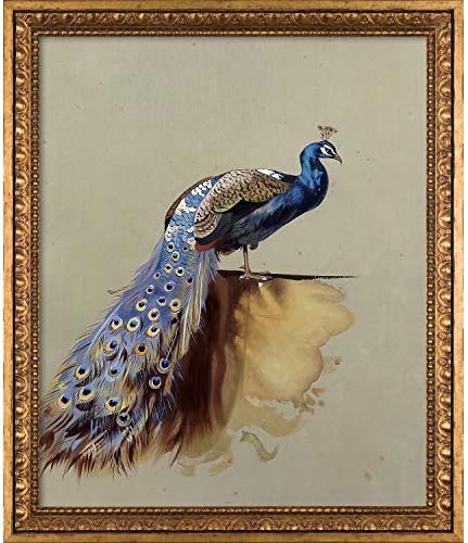 Overstockart la pastichepeacock מאת ארצ'יבלד ת'ורבורן שמן צבוע ביד על בד עם מסגרת זהב ורסאי, 27.5 x 23.5, רב צבעוני