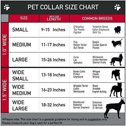 צווארון כלב אבזם בטיחות אבזם אבזם - תנוחות צב TMNT קלאסיות/פרוסות פיצה - 1 רחב - מתאים לצוואר 15-26 - גדול