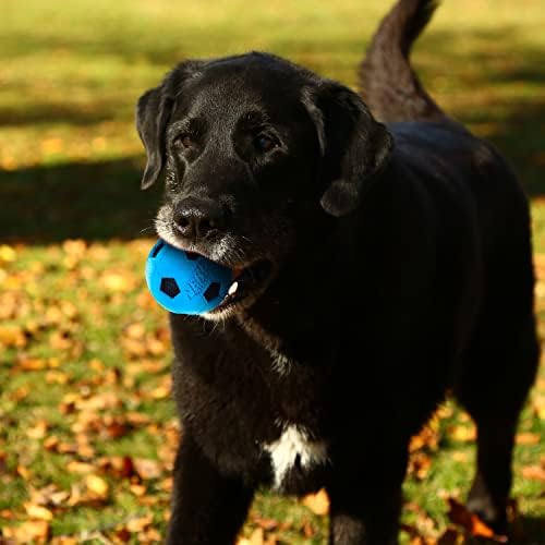 צעצוע כלבים כדורגל של נרף כלב עם קראנץ 'אינטראקטיבי, קל משקל, עמיד ועמיד במים, 3 אינץ', לגזעים קטנים/בינוניים/גדולים,