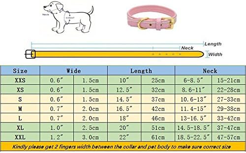 כלבים ממלכת 10-22 אורך אורך אישי מרופד צווארון מחמד עור אמיתי עם אבזם נירוסטה זהב לחתול חיית מחמד בינונית