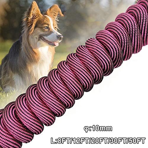 Btinesuff מלא כלבים קשור חבל + 10ft רצועה כלב בסיסית