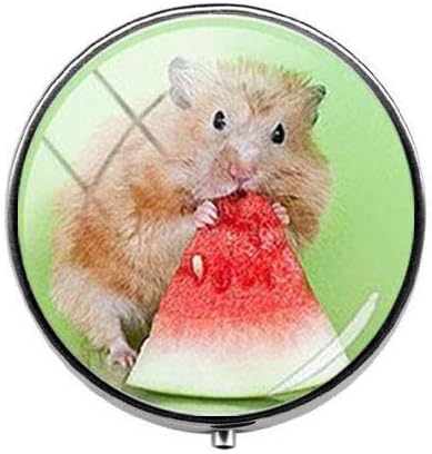 יפה יפה קטן לחיות מחמד עכבר אוגר גלולת תיבת-קסם גלולת תיבת-זכוכית סוכריות תיבת אמנות תמונה תכשיטי יום הולדת
