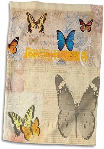 תמונת ורד תלת מימדית של פרפרים על מגבת יד מיושנת של גיליון מוסיקה, 15 x 22