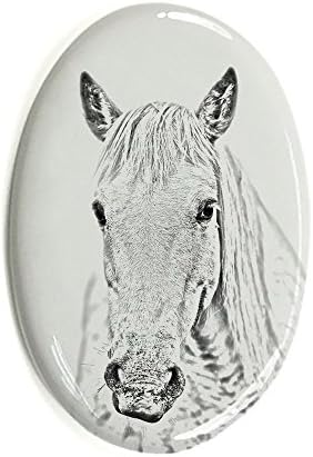 ארט דוג, מ.מ. סוס קמרג, מצבה סגלגלה מאריחי קרמיקה עם תמונה של סוס