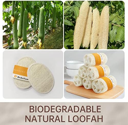 Bolosanto Sponge Loofah טבעי, לופה אורגנית, לופה ידידותית לסביבה ביולוגית מתכלה, פילינג לופה, מקרצף גוף טבעי,