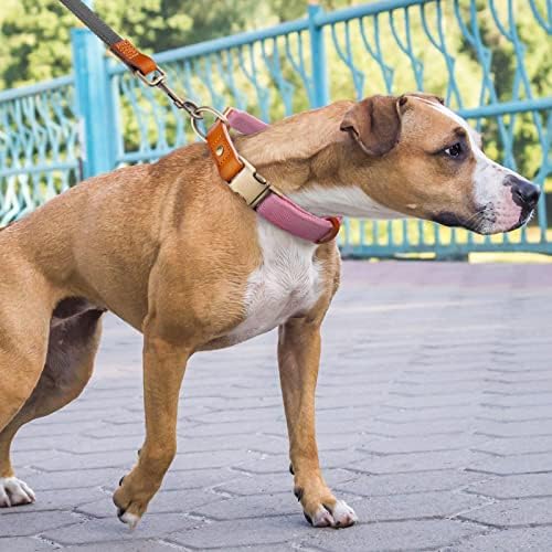 סורבוגרט צווארון כלבים מתכוונן מסוגנן עם צבע ממתקים חמוד, צווארוני כלבים של ניילון ניילון כבד עם אבזם מתכת שחרור מהיר,