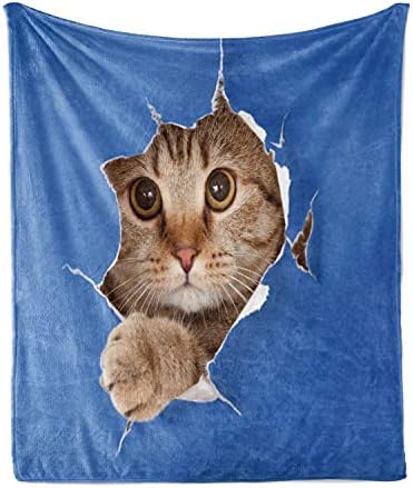 שמיכה לזרוק בעלי חיים, חתלתול בכפות חור נייר תמונת חיית מחמד חתול סקוטית שובבה, חתיכת מבטא פליס פלנל כיסוי ספה