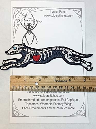 שלד גרייהאונד עצם עצם כלב אפור כלב גרייהאונד אפור ברזל על טלאי טלאי טלאי