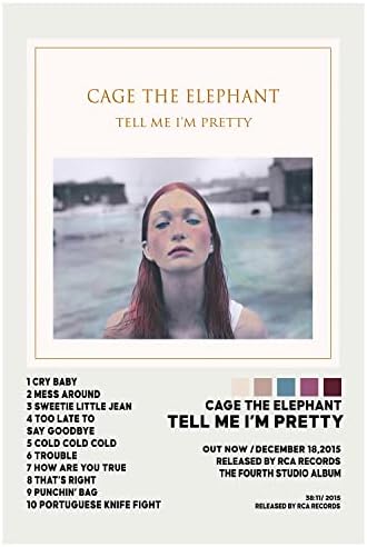 Cage The Elephent Album Cover Custom
