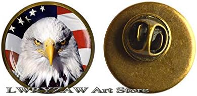 סיכת דגל הנשרים האמריקאית, כוכבים ופסים, מתנה בארהב, תכשיטים פטריוטיים אמריקה ארצות הברית 4 ביולי, סיכת האמנות, M6