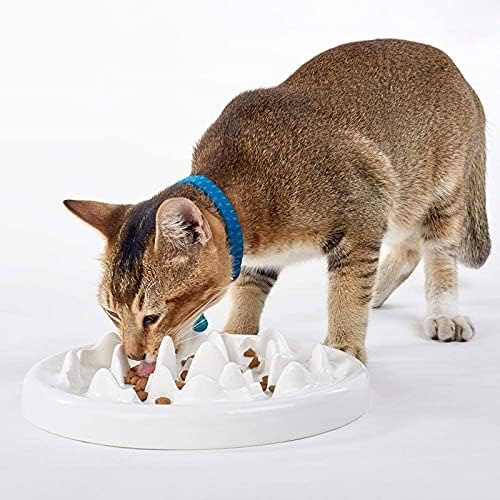 חתול איטי מזין קערה, דוטפט קרמיקה כיף אינטראקטיבי מזין להתפיח להפסיק חתול קערת מניעת מזין אנטי לגימה אכילה בריאה דיאטה לחיות