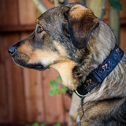 צווארון כלב אבזם חגורת בטיחות קליפורניה מתאר דוב גריזלי חום שחור 18 עד 32 אינץ 'ברוחב 1.5 אינץ', DC-W329888-WL