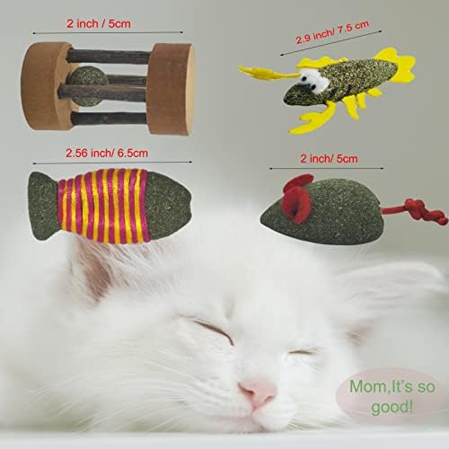 מקלות כסף טבע סנפוצ ' ני לחתולים, צעצועי חתול דחיסה עמידים, 4 מארז צעצועי חתול אינטראקטיביים לחתולים מקורה,צעצועי