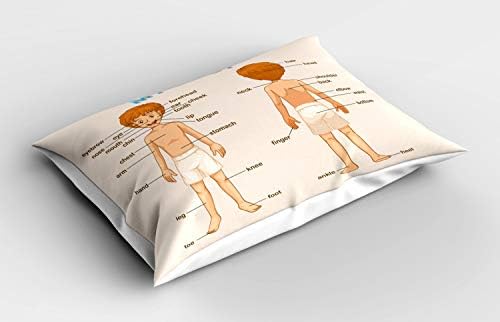 Ambesonne Science Pillow Sham, חלקי גופי של אלמנטים מדפיסים תוכן אינפורמטיבי אנושי, ציפית מודפסת בגודל דקורטיבי, 26 x 20,