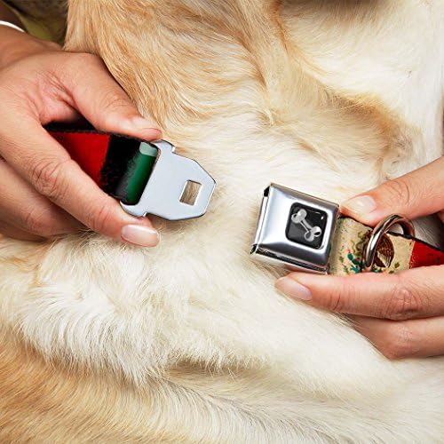 צווארון כלב אבזם חגורת בטיחות מקסיקו דגל במצוקה ציור במצוקה 16 עד 23 אינץ 'ברוחב 1.5 אינץ'