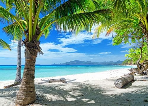 7 * 5 רגל טרופי קיץ חוף צילום תפאורות הוואי ואאו מסיבת כחול שמיים ים רקע עבור חיצוני תמונה אבזרי-06