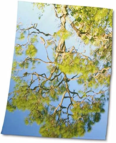 עצי פלורן 3 אתרים - השתקפויות עצים - מגבות