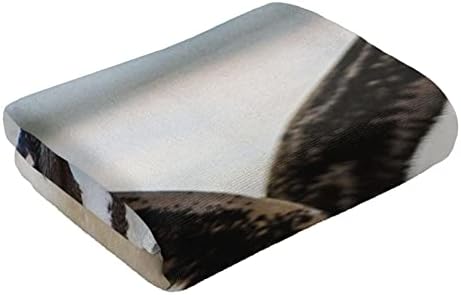 מגבת פינגווינים של בעלי חיים מגבת מיקרופייבר מגבת אורחת קישוטי אמבטיה ביתיים מגבת אצבעות אצבעות עם ספיגה גבוהה