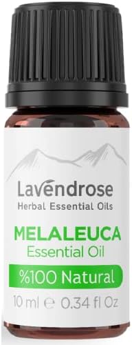 Lavendrose עץ התה הטבעי שמן אתרי - Melaleuca alternifolia, טהור לא מדולל, כיתה טיפולית, לארומתרפיה, טיפוח שיער, ציפורניים
