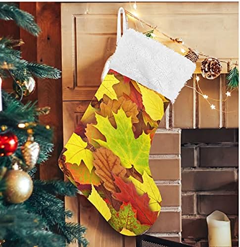 גרבי חג המולד של Alaza עלים סתיו קלאסיים קלאסיות קישוטי גרב גדולים לעיצוב עונת החג המשפחתית תפאורה 1 חבילה, 17.7 '' 46