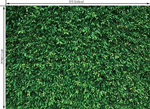 ירוק עלים ירוק דשא רקע רקע קיר טבעי ירוק דשא דשא מסיבת צילום רקע ירק רקע יום הולדת יילוד תינוק מקלחת חתונה תמונה סטודיו