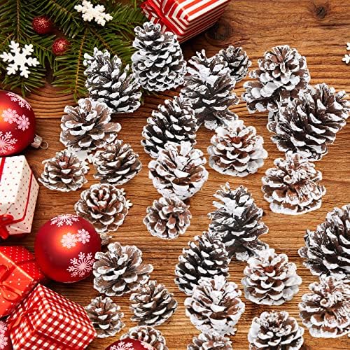 Andydesign 18 יחידות חג המולד חרוטים אורנים טבעיים חלבית חרוטים אורנים עם שלג גודל מגוון קונסולי אורן קישוטים