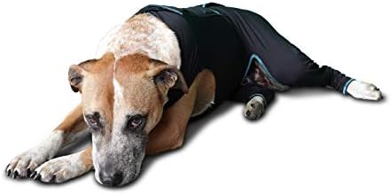 חליפת נוחות טיפולית לכלבים-מעיל אינפרא אדום רחוק קל לכלבים בכל הגילאים-חליפת דחיסת אשוח מרגיעה מרגיעה שרירים, מפרקים וכאבים