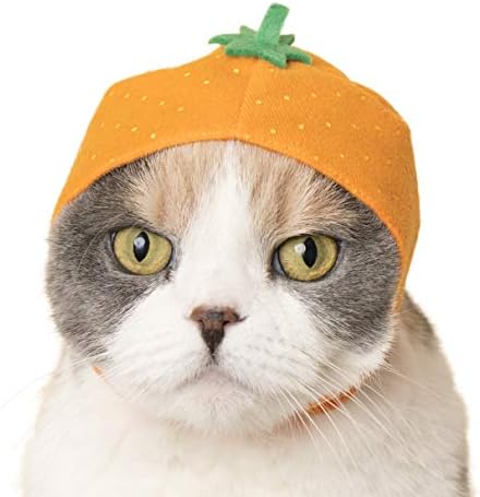 כובע חתול מועדון קיטאן-קופסה עיוורת כובע לחיות מחמד כוללת 1 מתוך 6 סגנונות חמודים-רך ונוח-עיצוב קוואי יפני אותנטי-חומרים בטוחים