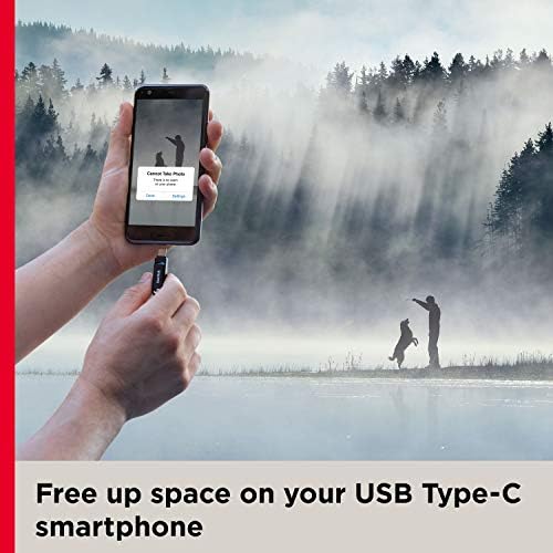 Sandisk 64GB Ultra Dual Drive Go USB Type-C כונן הבזק, שחור-SDDC3-064G-G46
