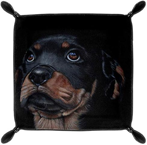 Lorvies Dog Dog Rottweilerps Box Box Cube Cox Combers Fins for Office Home