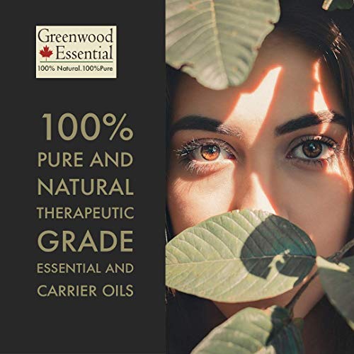 Greenwood Essential Whice Primrose שמן עם טפטפת זכוכית כיתה טיפולית טבעית קרקע לטיפול אישי 100 מל x 3