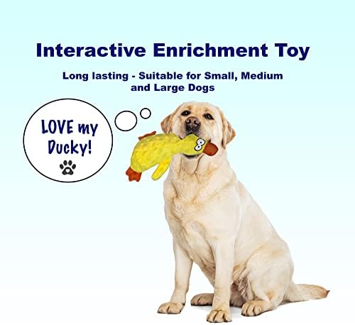 2 מארז-עמיד & מגבר; צעצועי כלב קטיפה להתקמט רכים עבור גור, קטן, כלבים בינוניים וגדולים. צעצועים לחיות מחמד לכלבים וגורים.