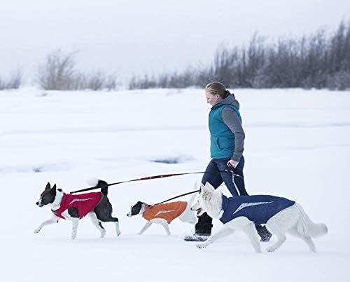 מוצרי מחמד RC מעיל כלבים מפל, חיוני כל מעיל כלב מזג האוויר, גודל 16, כחול ארקטי