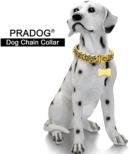 צווארון כלב שרשרת זהב עם פעמון אבזם ותג עצם 15 ממ צווארוני שרשרת נירוסטה