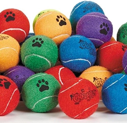 כדורי טניס כלבים בגודל 2.5 אינץ