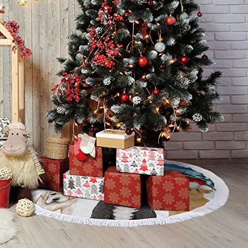 Ditooms כלבים מגניבים כאן מגיעים סנטה כפות חצאית עץ חג המולד חצאית עץ חג המולד תחרה קצה מדהים עבור 30 x30 חג המולד קישוטים