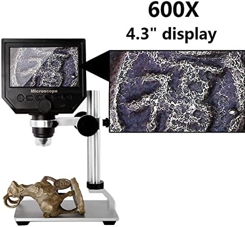 ערכת אביזרי מיקרוסקופ למבוגרים 600X 3.6MP מיקרוסקופ דיגיטלי USB עם סגסוגת אלומיניום מעמדת אלומיניום מעבדת מיקרוסקופ