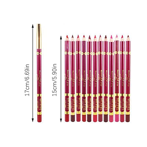 זיטיאני ליפ ליינר עיפרון אייליינר מט שפתון עט 3 ב 1 נייד איפור עיפרון, 12 צבע זמין לטווח ארוך עמיד למים ללא סימון - וו