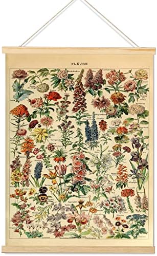 בציר פרחי פוסטר הדפסי, קוטג ' קור צמח פרחוני התייחסות תרשים בד אמנות קיר תפאורה, כפרי בוטני פלורס תליית כרזות